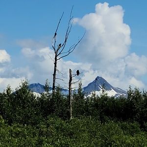 Meet your Posher, Annette